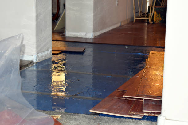 Professional Sewage Cleanup technician working in South Gardiner, ME
